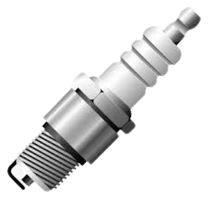 images removebg preview